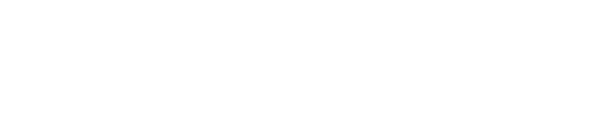 Partner logo 0-0
