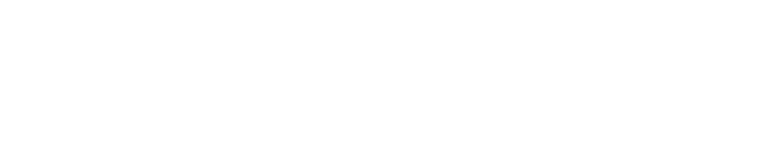 Partner logo 1-0