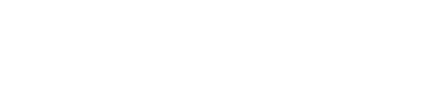 Partner logo 5-0