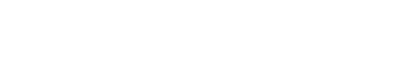 Partner logo 1-1